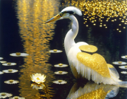 AI-23-AZURORA-GOLD-REIHER10