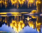 AI-23-AZURORA-GOLDENER-TEICH2