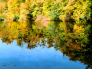 AI-23-AZURORA-LANDSCHAFT-WESSLING19