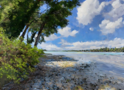 AI-23-AZURORA-5SEENLAND-PILS2