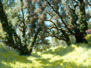 AI-23-AZURORA-LANDSCHAFT-BAUM6