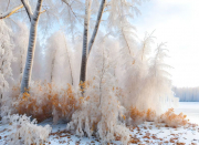 AI-23-AZURORA-LANDSCHAFT-FROST3