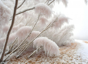 AI-23-AZURORA-LANDSCHAFT-FROST5