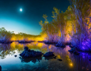 AI-23-AZURORA-LANDSCHAFT-MANGROVEN1