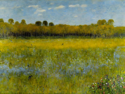 AI-23-AZURORA-LANDSCHAFT-MOOR3