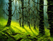 AI-23-AZURORA-LANDSCHAFT-WALD1