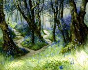 AI-23-AZURORA-LANDSCHAFT-WALD3