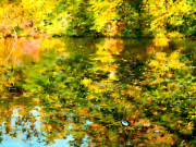 AI-23-AZURORA-LANDSCHAFT-WESSLING8