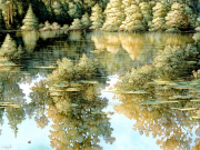 AI-23-AZURORA-NATUR-ZAUBERWALD3