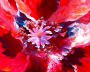 AI-23-AZURORA-BLUME-MOHNCLOSE