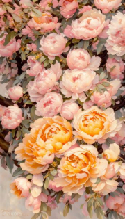 AI-23-AZURORA-BLUME-ROSE2