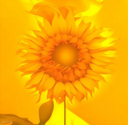 AI-23-AZURORA-BLUME-SONNE1