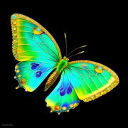 SCHMETTERLING-ART-NOUVEAU10