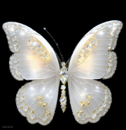 SCHMETTERLING109
