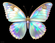 AI-23-AZURORA-TIER-SCHMETTERLING-SEIDE3