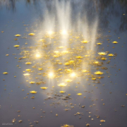 AI-23-AZURORA-SPIRIT-LOTUS25