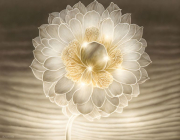 AI-23-AZURORA-WEISS-BLUME1