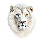 AI-23-AZURORA-TIER-LOeWE24