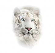 AI-23-AZURORA-TIER-LOeWE26